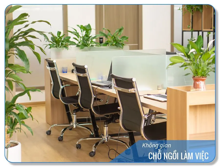 Cho ngoi lam viec 1